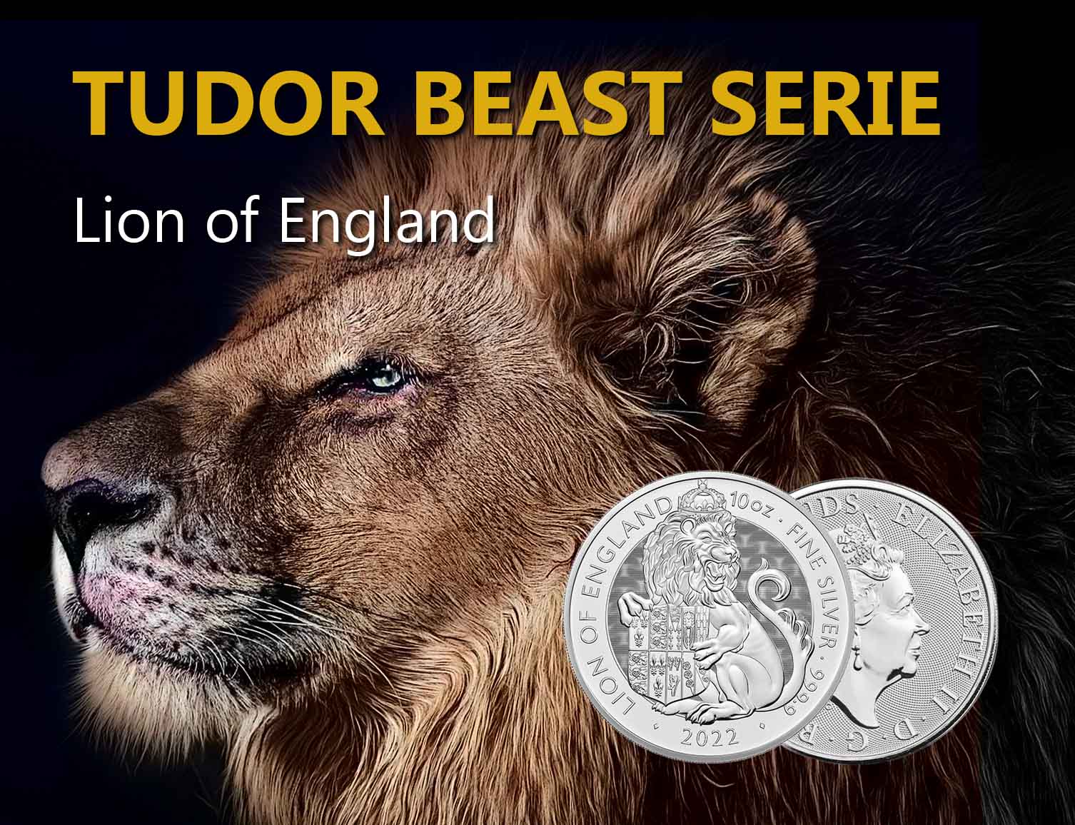 Lion-of-England